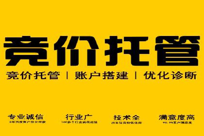 SEM托管服务助力中小企业快速崛起案例
